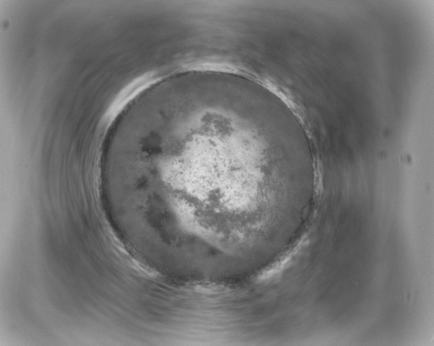 X0000087570199200705112221