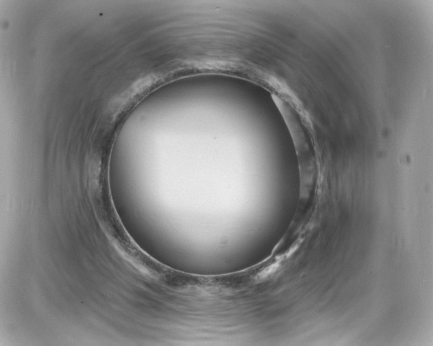 X0000087570201200705112221