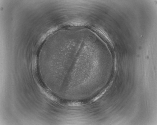 X0000087570202200705112221