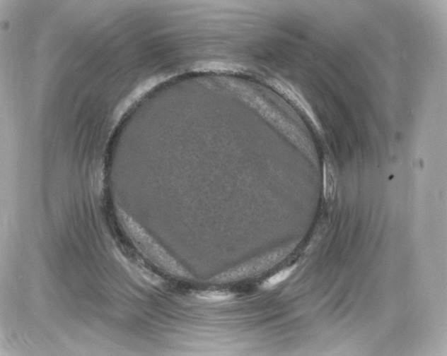 X0000087570204200705112221