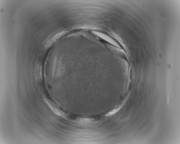 X0000087570205200705112221