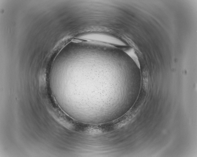 X0000087570207200705112221