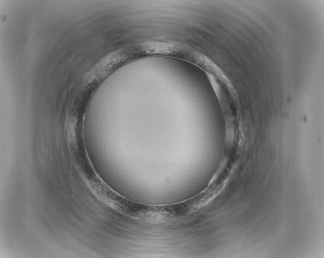 X0000087570209200705112221