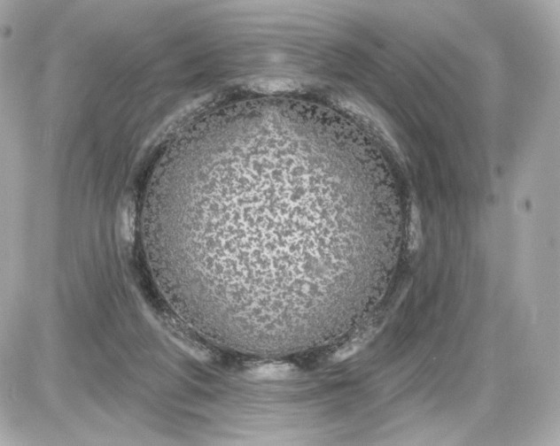 X0000087570210200705112221