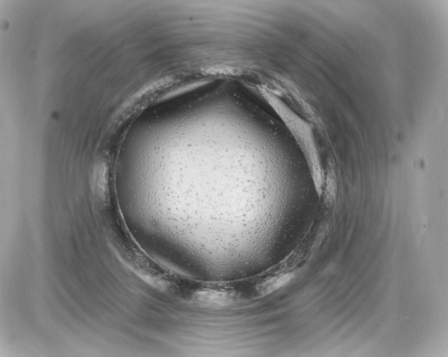 X0000087570211200705112221