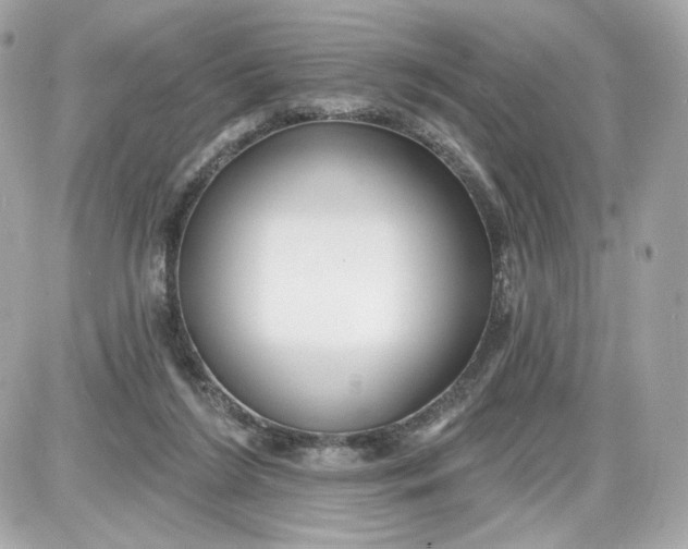 X0000087570212200705112221