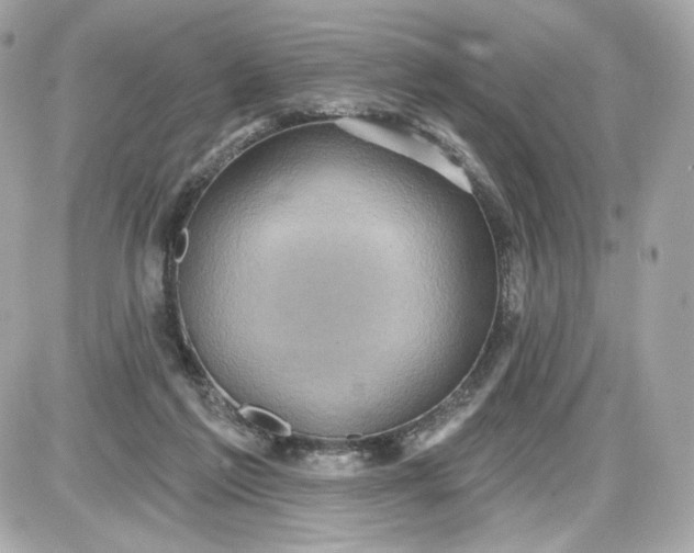 X0000087570213200705112221