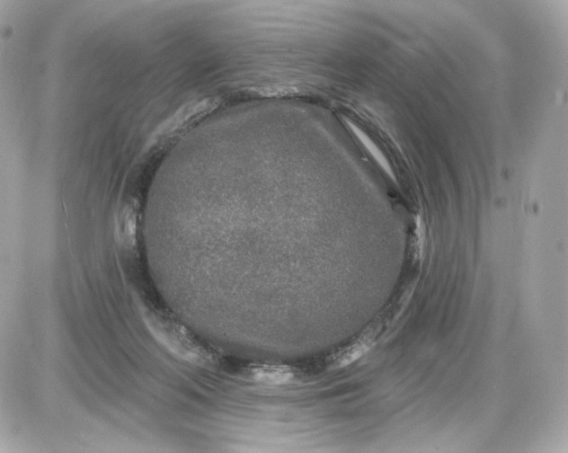 X0000087570214200705112221