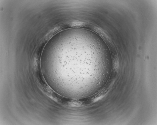 X0000087570215200705112221