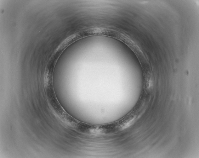 X0000087570216200705112221