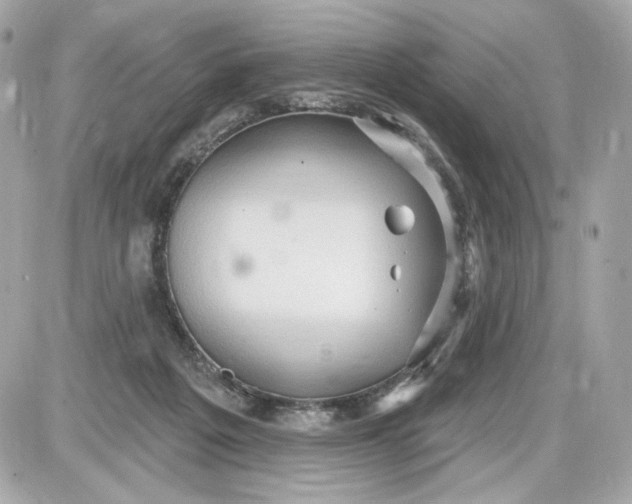 X0000087570217200705112221