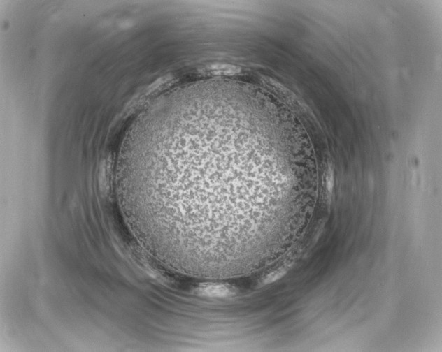 X0000087570218200705112221