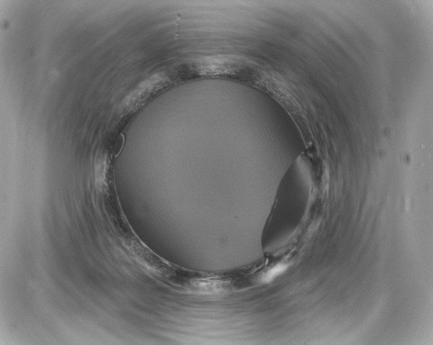 X0000087570219200705112221