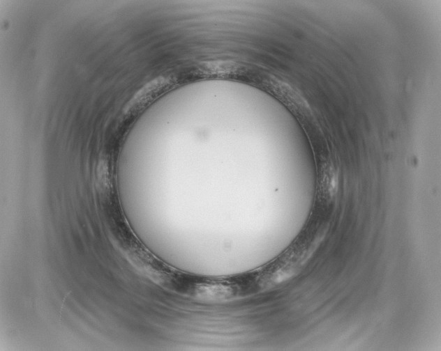 X0000087570220200705112220