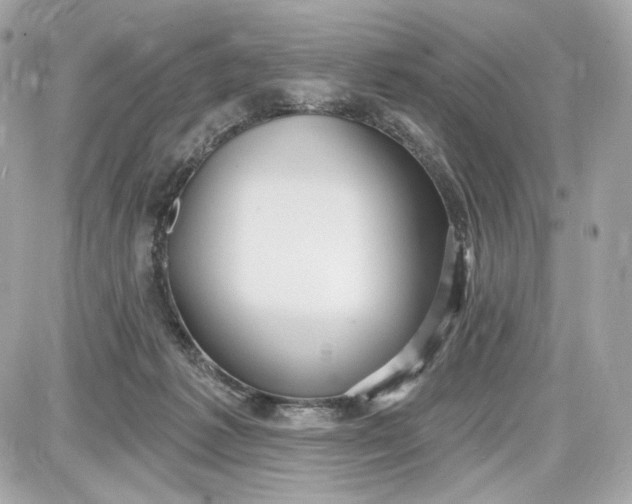 X0000087570221200705112220