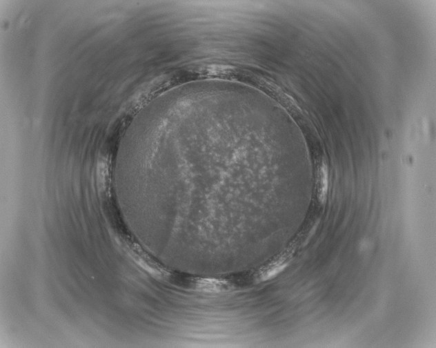 X0000087570222200705112220