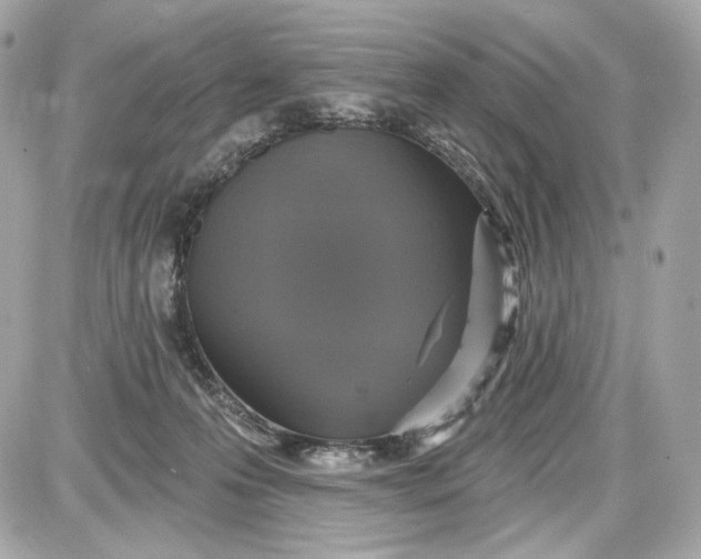 X0000087570223200705112220