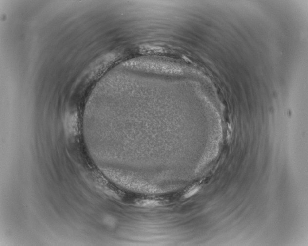 X0000087570224200705112220