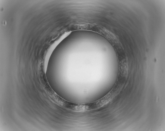 X0000087570225200705112220