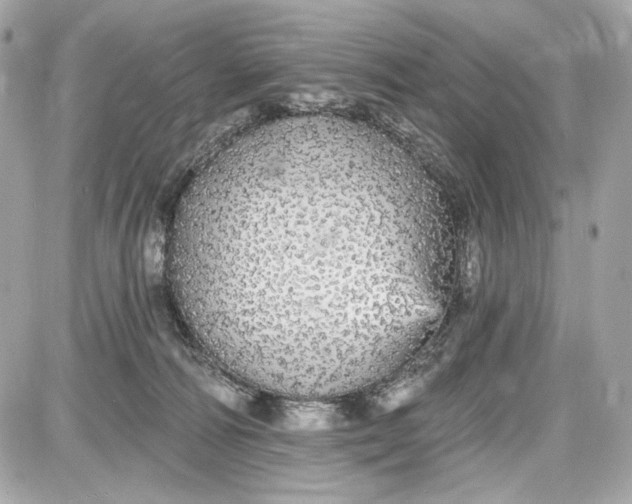 X0000087570226200705112220