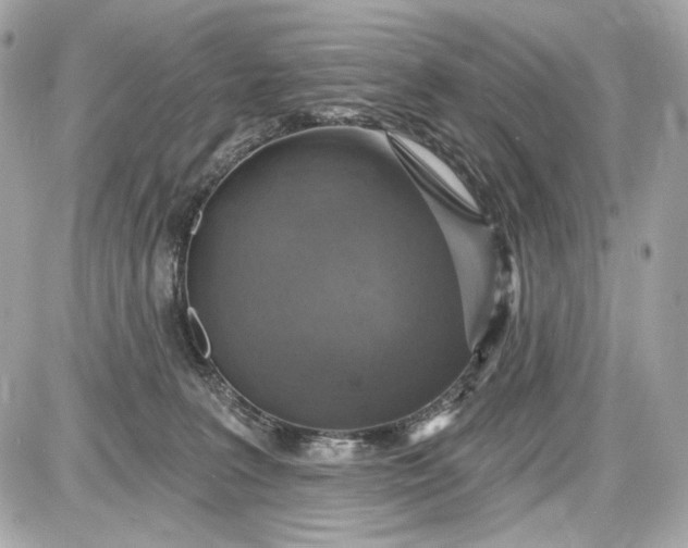 X0000087570227200705112220