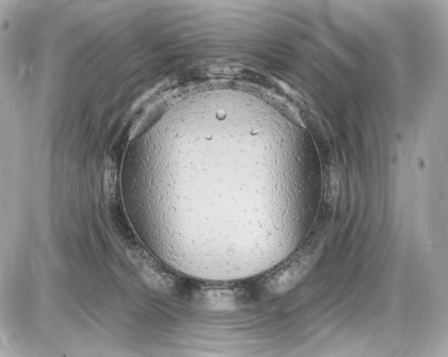 X0000087570228200705112220