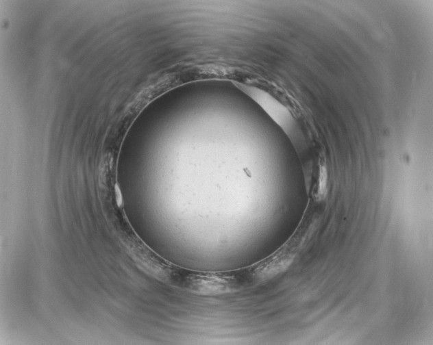 X0000087570229200705112220