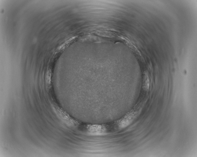 X0000087570230200705112220