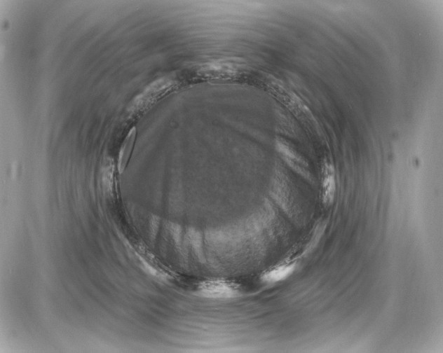 X0000087570231200705112220