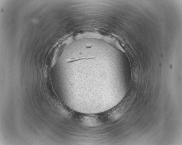 X0000087570232200705112220