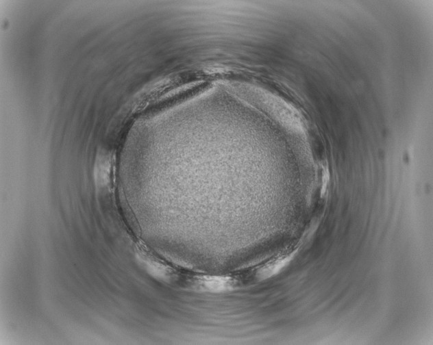 X0000087570233200705112220