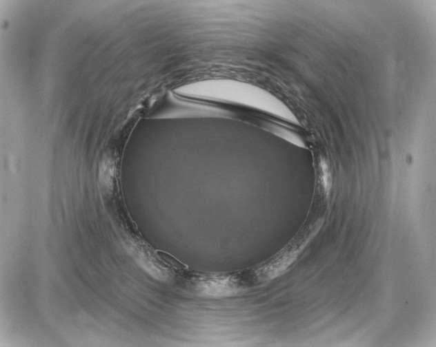 X0000087570235200705112220