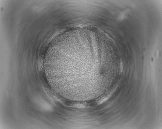 X0000087570236200705112220