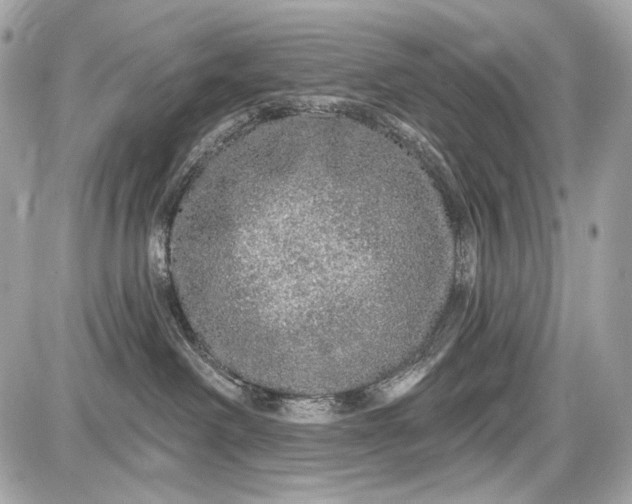 X0000087570238200705112220