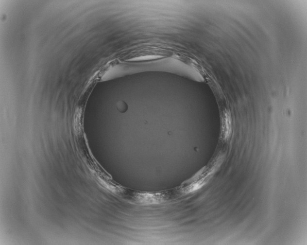 X0000087570239200705112220