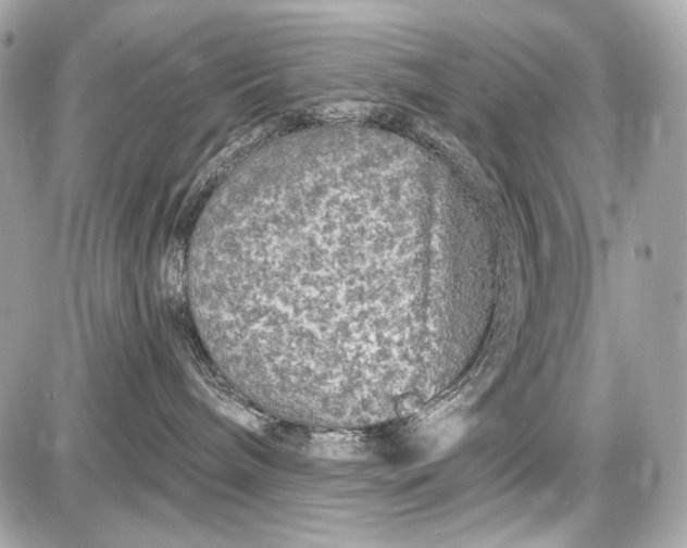 X0000087570240200705112220