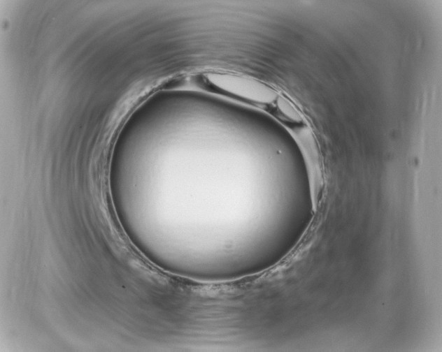 X0000087570241200705112219