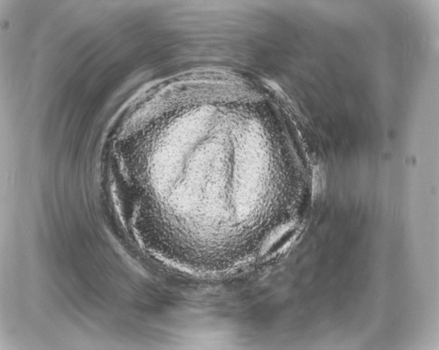 X0000087570243200705112219