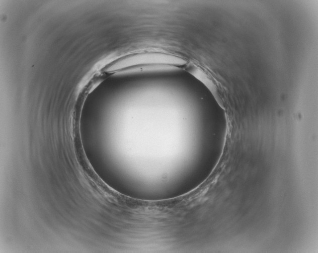 X0000087570244200705112219