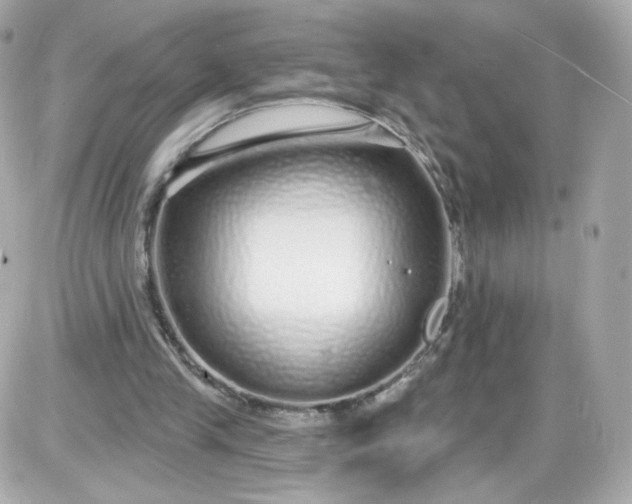 X0000087570245200705112219