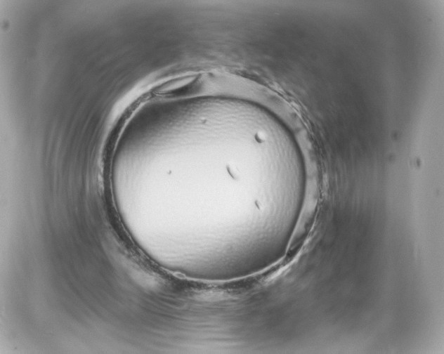 X0000087570246200705112219