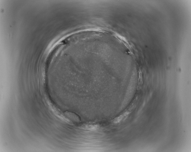 X0000087570247200705112219