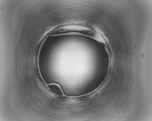 X0000087570249200705112220