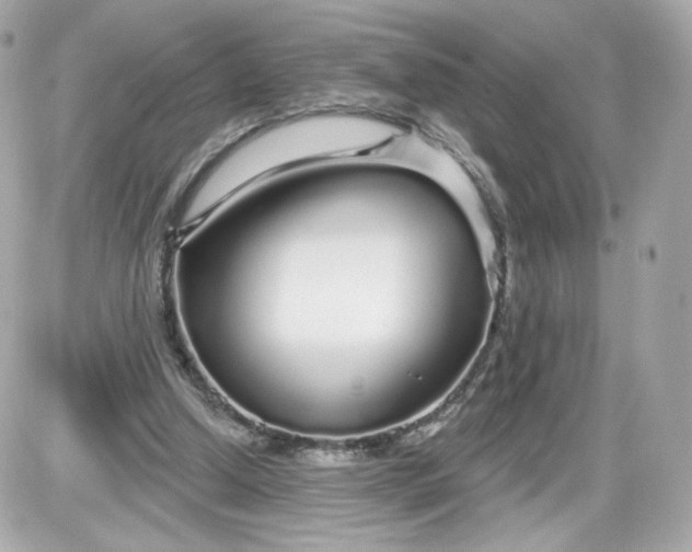 X0000087570250200705112220