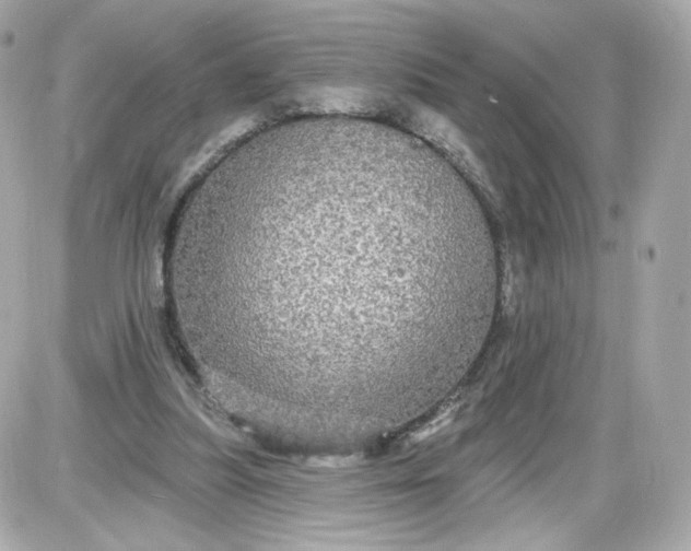 X0000087570251200705112220