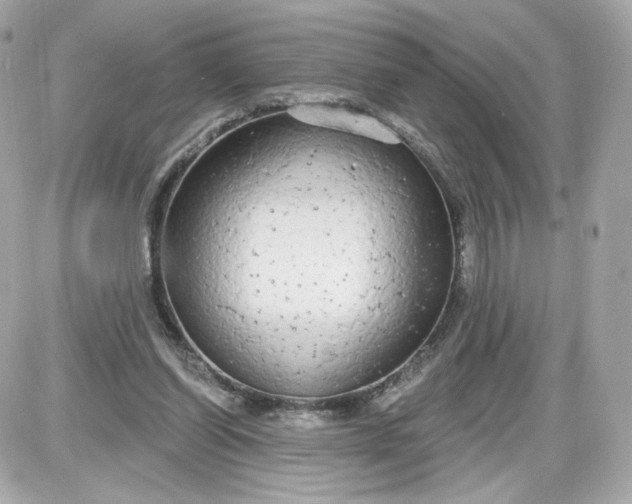 X0000087570254200705112220