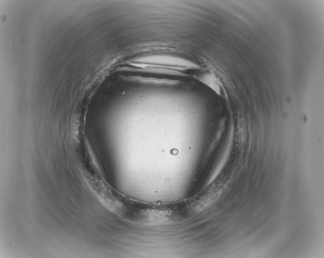 X0000087570255200705112220