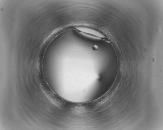 X0000087570256200705112220