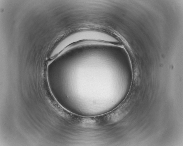 X0000087570257200705112220