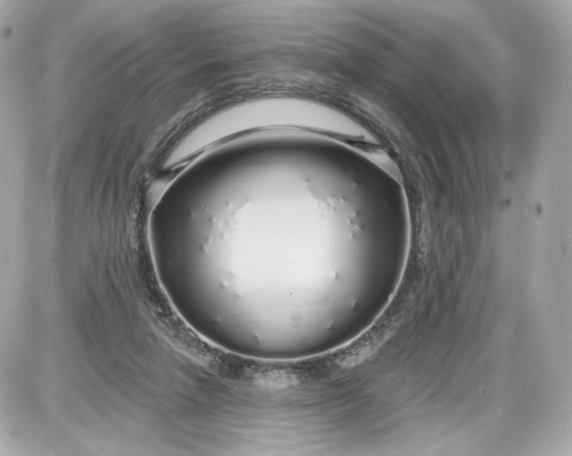 X0000087570258200705112220